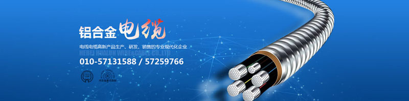 滄州市統(tǒng)計工作規(guī)范化建設推進會在華倫公司順利召開！